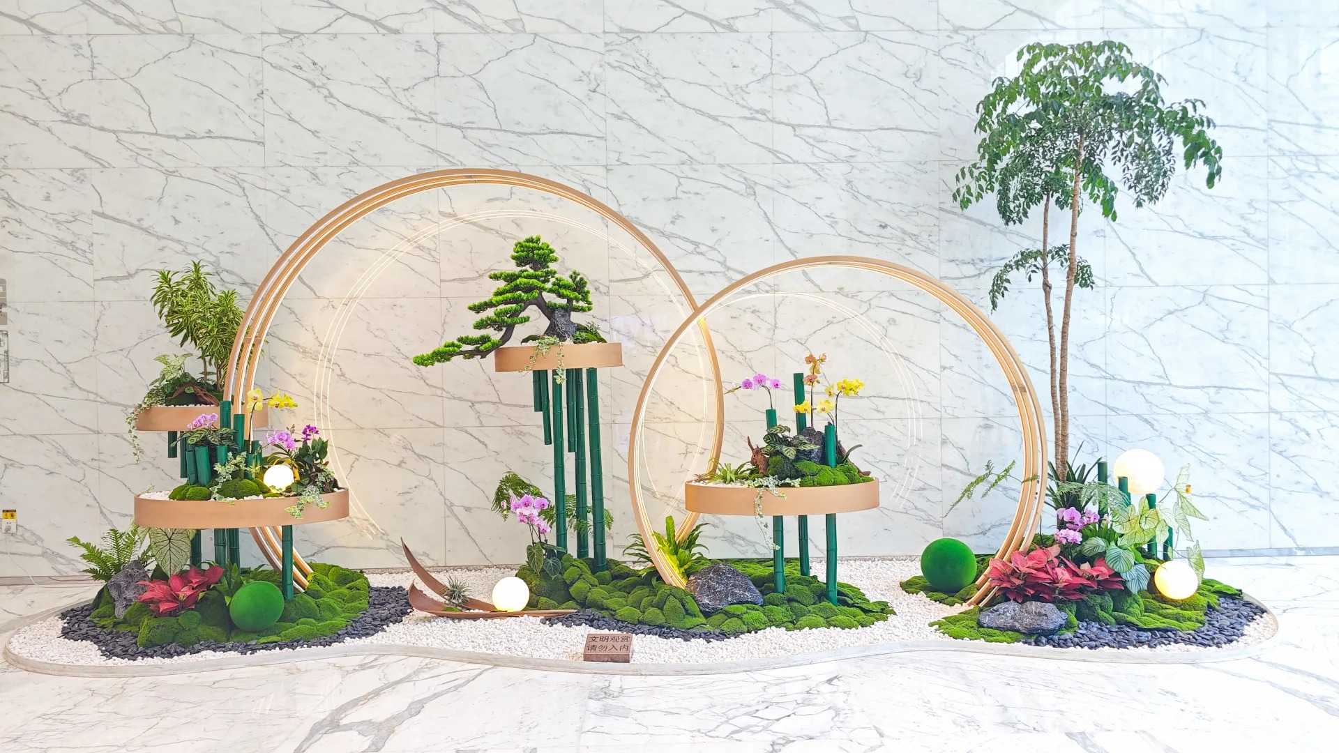 宁波镇海绿化修剪专业 宁波镇海绿化修剪专业